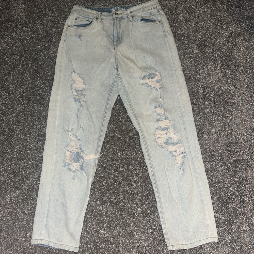 Wild fable high rise mom Jean